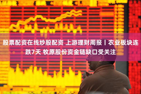 股票配资在线炒股配资 上游理财周报丨农业板块连跌7天 牧原股份资金链缺口受关注