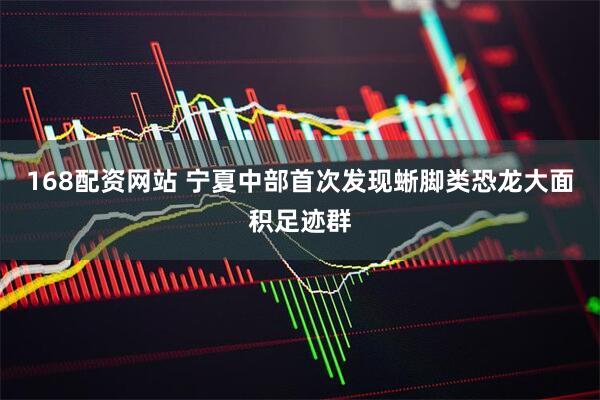168配资网站 宁夏中部首次发现蜥脚类恐龙大面积足迹群